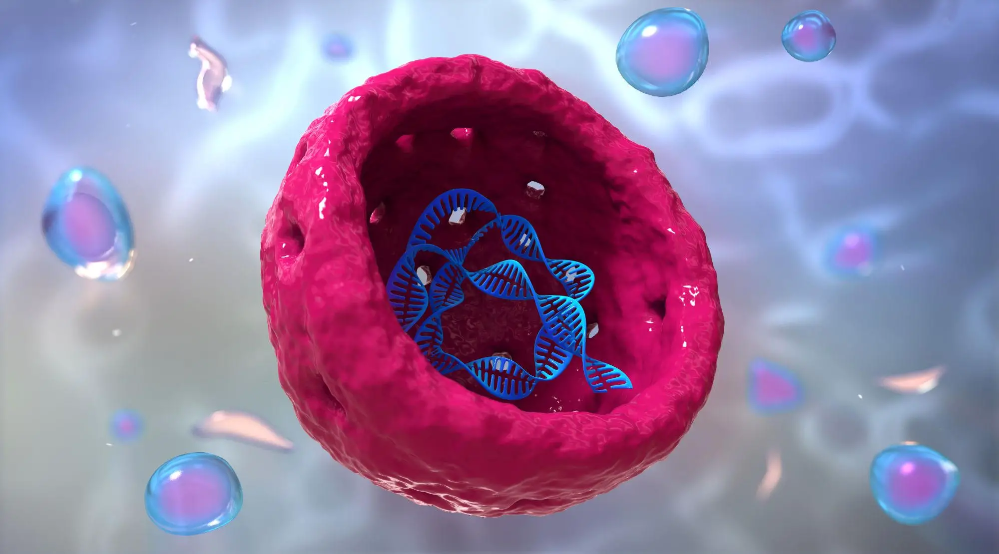 Inside Cell Nucleus DNA RNA